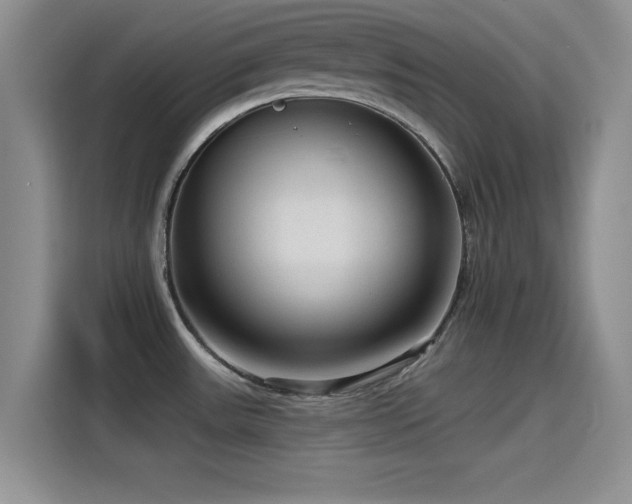 X0000115551531200911061523