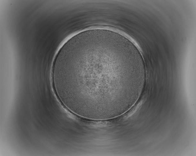 X0000115551533200911061523