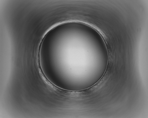 X0000115551534200911061523