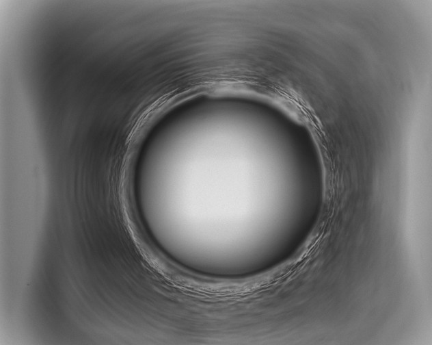 X0000115550001200911131615