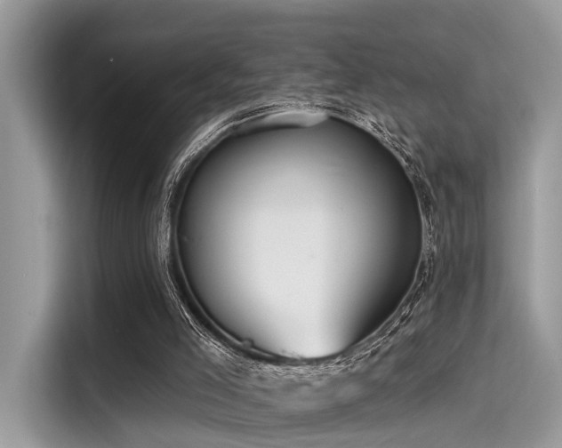 X0000115550005200911131615