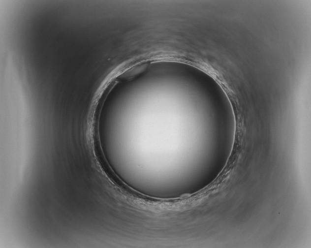 X0000115550007200911131615