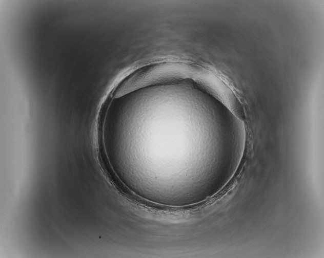 X0000115550008200911131615