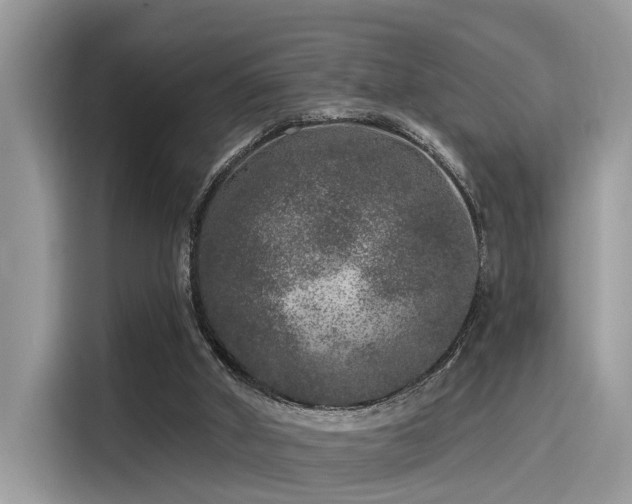 X0000115550010200911131615