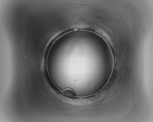 X0000115550012200911131615