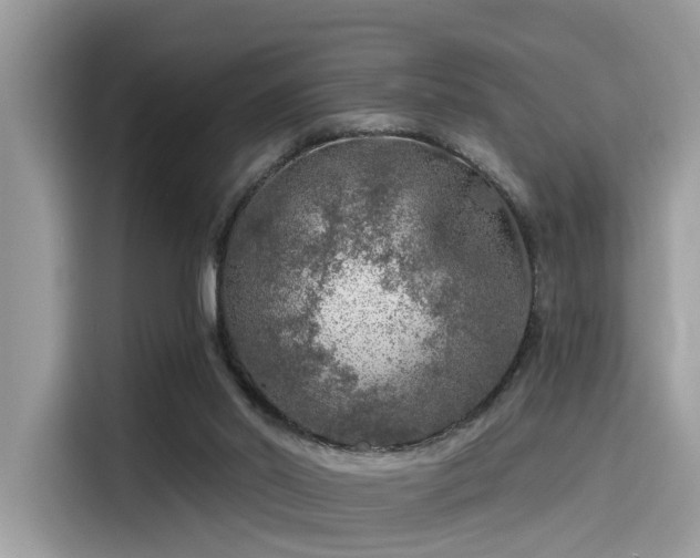 X0000115550014200911131615