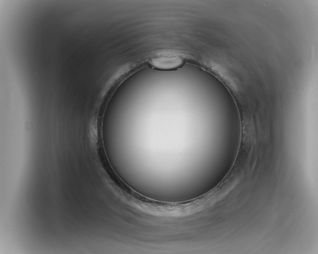 X0000115550015200911131615