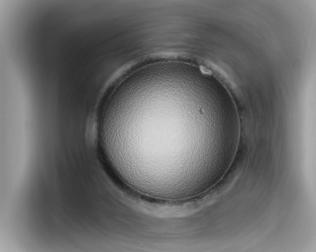 X0000115550016200911131615