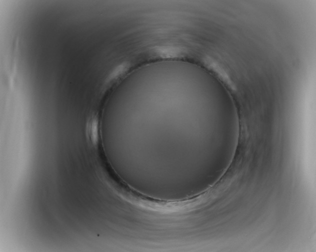 X0000115550019200911131615