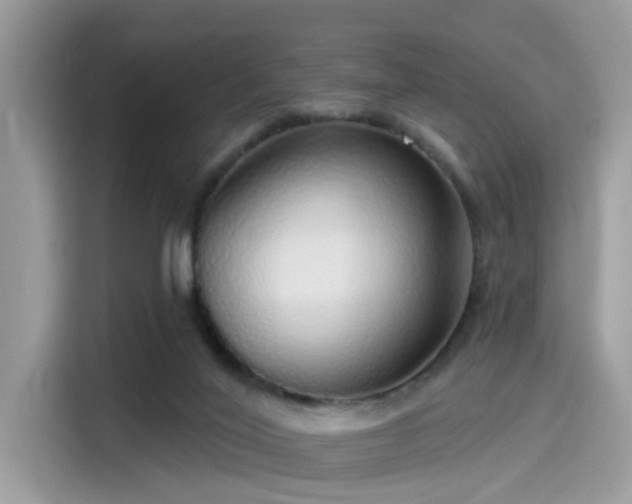 X0000115550020200911131615