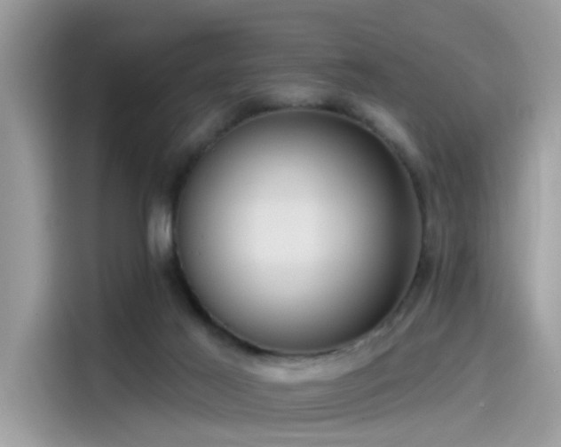 X0000115550021200911131615