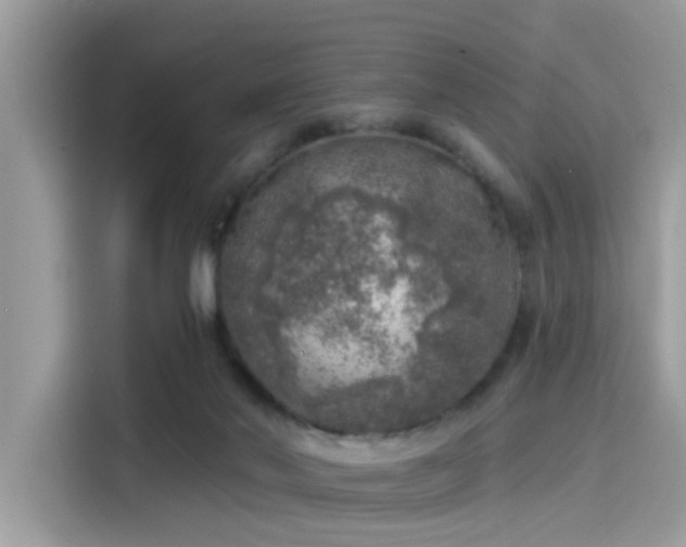 X0000115550022200911131615