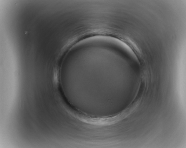 X0000115550023200911131615