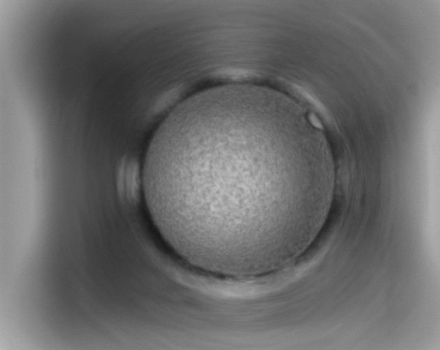 X0000115550024200911131615