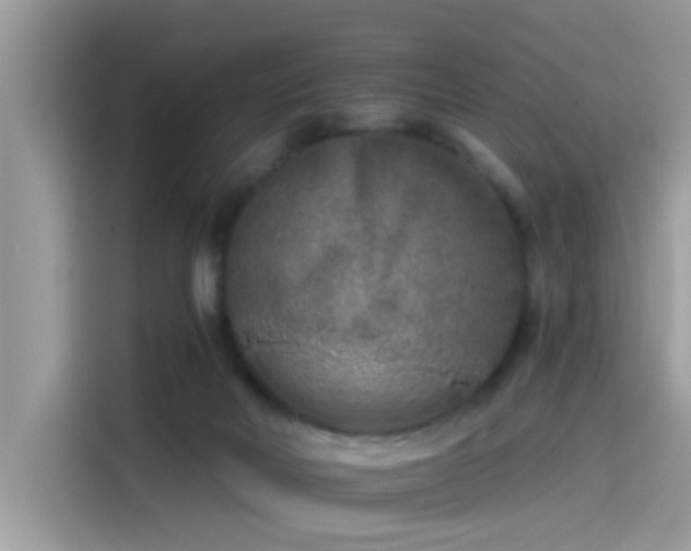 X0000115550026200911131615