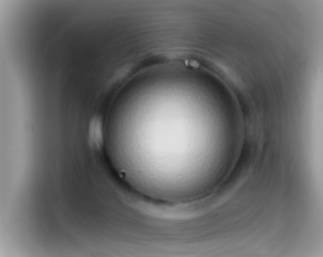 X0000115550028200911131615