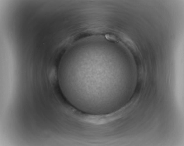 X0000115550029200911131615