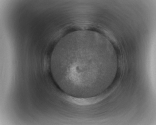 X0000115550030200911131615