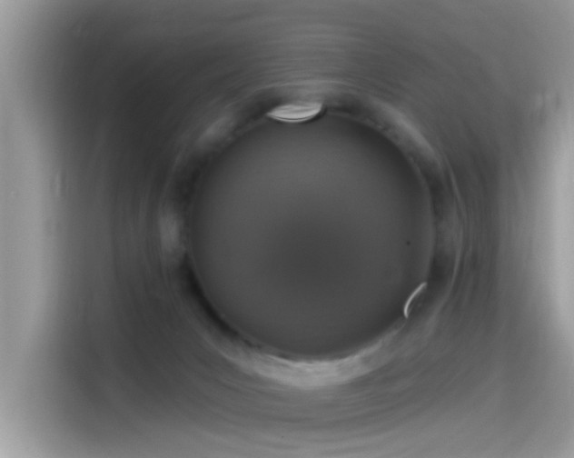 X0000115550031200911131615