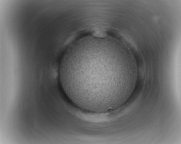 X0000115550032200911131615