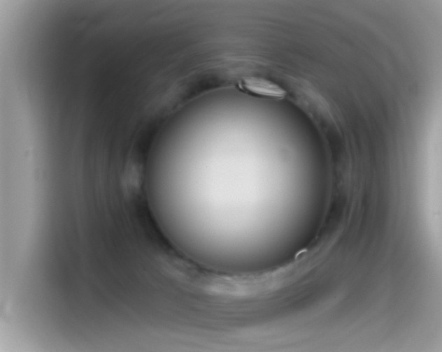 X0000115550033200911131615