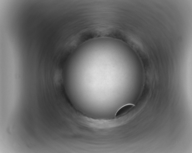 X0000115550034200911131615