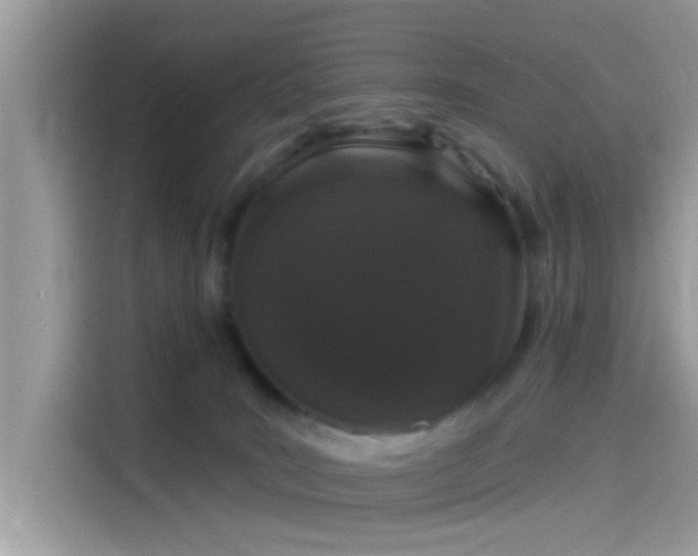 X0000115550035200911131615