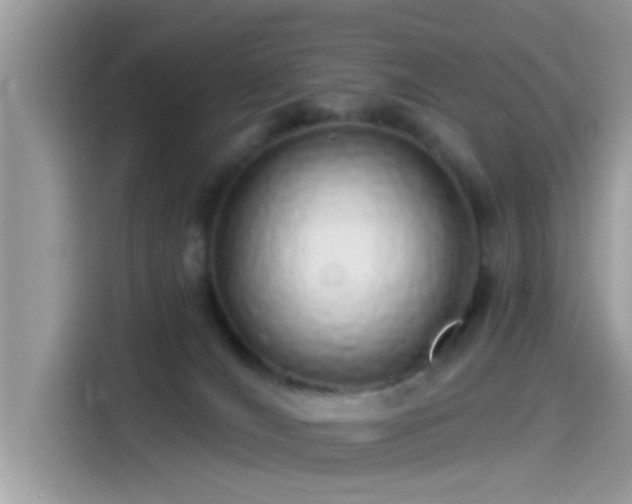 X0000115550036200911131615