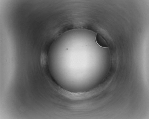 X0000115550038200911131615