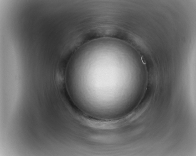 X0000115550040200911131615