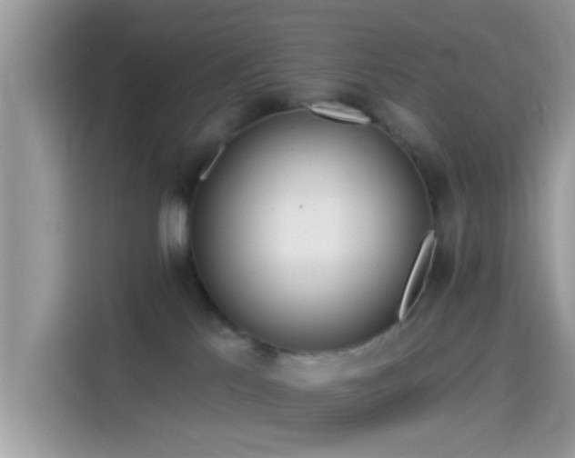 X0000115550041200911131615