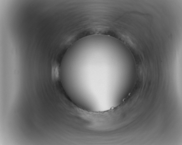 X0000115550042200911131615