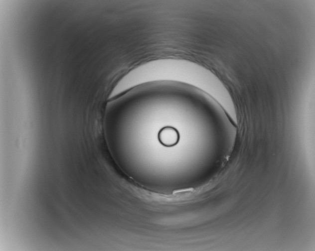 X0000115550043200911131614