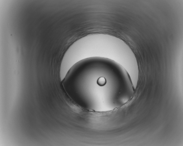 X0000115550045200911131614