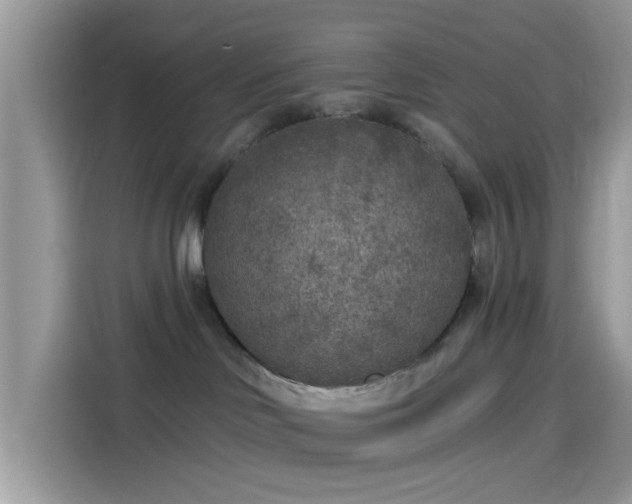 X0000115550046200911131614