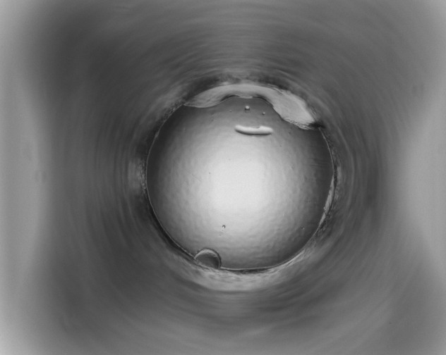 X0000115550048200911131614