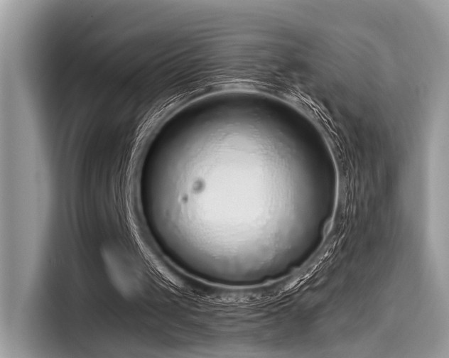 X0000115550049200911131614