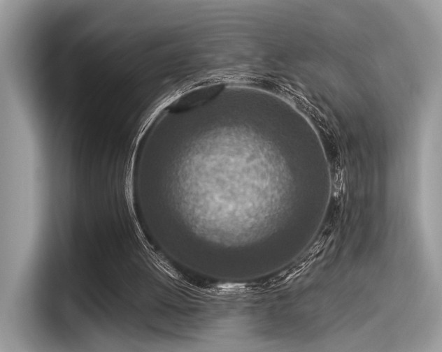 X0000115550052200911131614