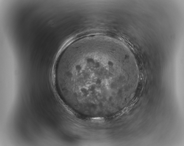 X0000115550053200911131614