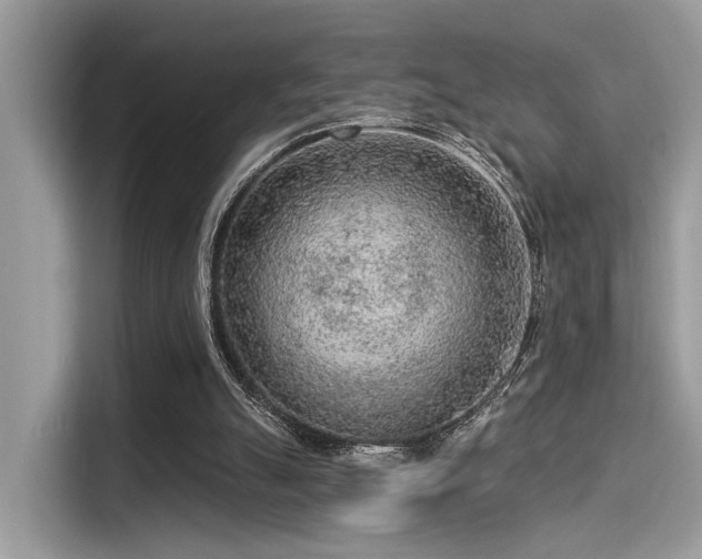 X0000115550055200911131614