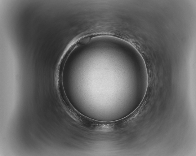 X0000115550056200911131614