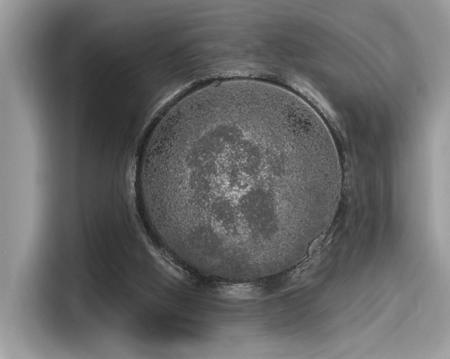 X0000115550058200911131614