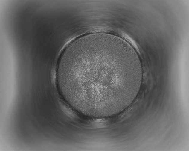 X0000115550059200911131614