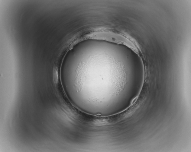 X0000115550061200911131614