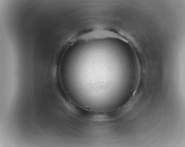 X0000115550066200911131614