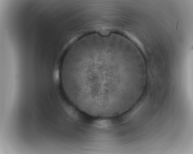 X0000115550067200911131614