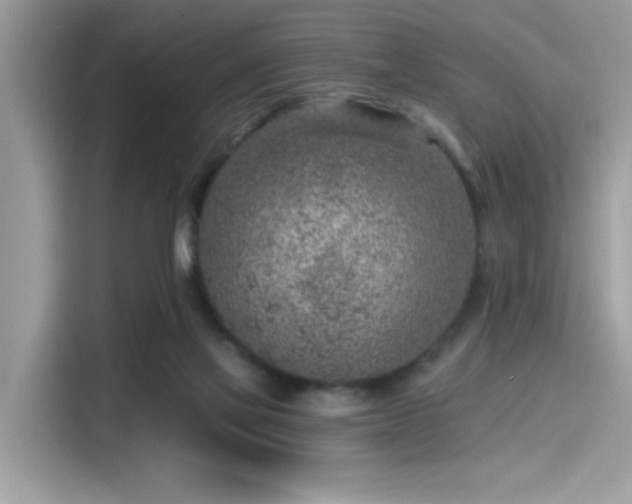 X0000115550069200911131614