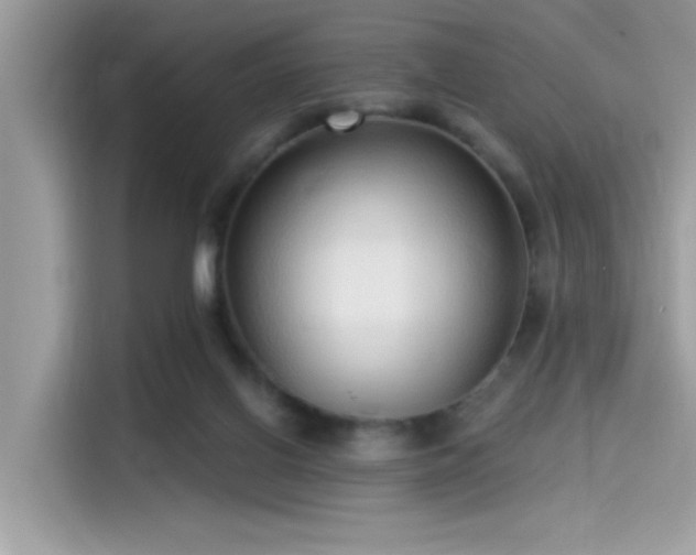 X0000115550070200911131614