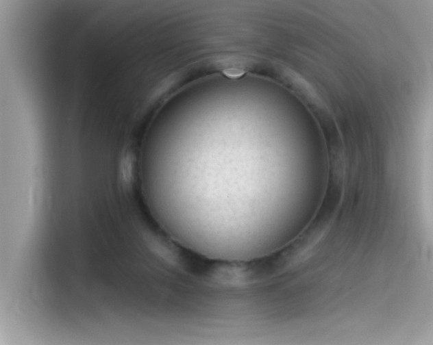 X0000115550071200911131614