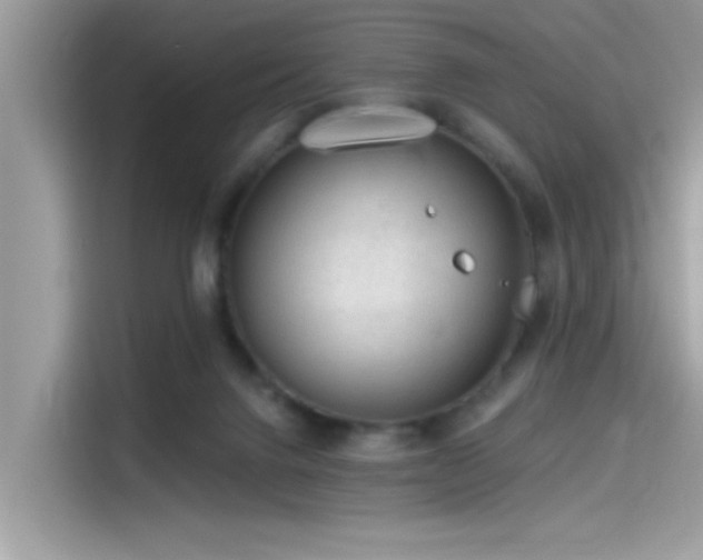 X0000115550072200911131614